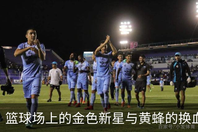 篮球场上的金色新星与黄蜂的换血大作战