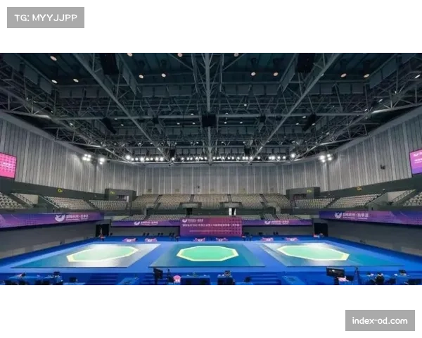 智能沙包系统助力拳击赛事实时监测击打力量与频率数据